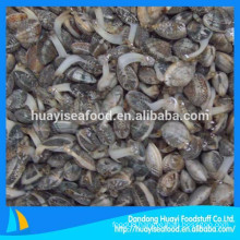 promotion different size of frozen short necked clam with low price